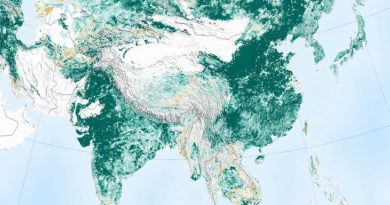 Según imágenes de la Nasa, el mundo está más “verde” que hace 20 años Según imágenes de la Nasa, el mundo está más “verde” que hace 20 años