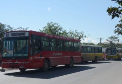Cambian de lugar las paradas de colectivos sobre avenida Fascio este sábado