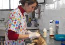 Zoonosis llevará el quirófano móvil a cuatro barrios de San Salvador de Jujuy Zoonosis llevará el quirófano móvil a cuatro barrios de San Salvador de Jujuy