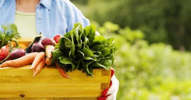 ¿Cómo garantizar el buen estado de los alimentos y preservar su valor nutricional? ¿Cómo garantizar el buen estado de los alimentos y preservar su valor nutricional?