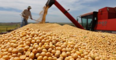 La disparada de la soja generará casi USD 10.000 millones extra en exportaciones y USD 2.800 millones más en pagos de retenciones La disparada de la soja generará casi USD 10.000 millones extra en exportaciones y USD 2.800 millones más en pagos de retenciones