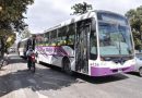 Trabajo dictó la Conciliación Obligatoria y la UTA levantó el paro de colectivos