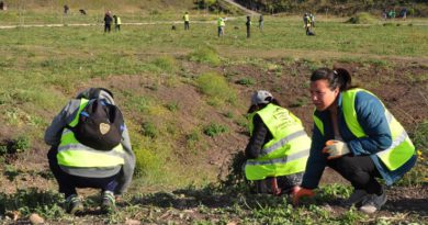 Plantan más de 30 árboles en el parque Belgrano Plantan más de 30 árboles en el parque Belgrano