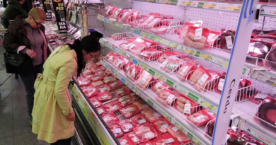 El consumo de carne vacuna cayó 11,5% en el primer semestre y alcanzó el nivel más bajo de los últimos 30 años El consumo de carne vacuna cayó 11,5% en el primer semestre y alcanzó el nivel más bajo de los últimos 30 años