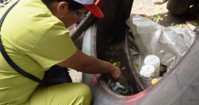 Los casos de dengue alcanzaron 4652 Los casos de dengue alcanzaron 4652