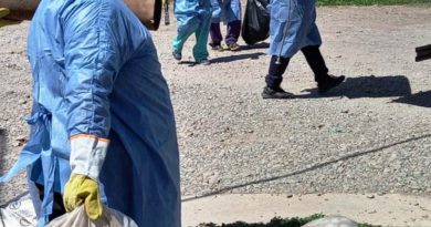 Jujuy confirmó 12 casos de chikungunya y refuerza el descacharrado para prevenir contagios