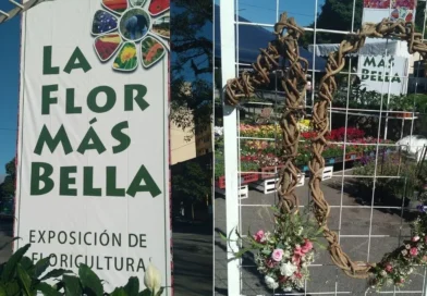 Exposición “La Flor más Bella” en Jujuy: cortes y restricciones de tránsito