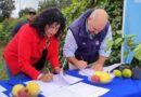 Jujuy impulsa el desarrollo de cuencas de frutas tropicales con foco en el maracuyá