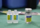 Continúa a disposición la vacunación frente a la fiebre amarilla