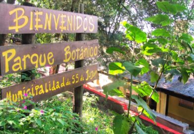 “Mateando en el Botánico”: caminata guiada y mate al aire libre en Los Perales