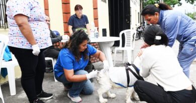 Cronograma semanal de castración y vacunación antirrábica en San Salvador de Jujuy
