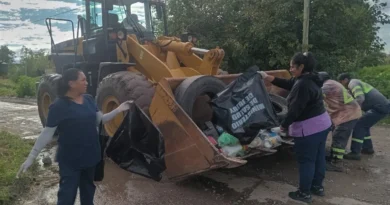 Chikungunya en Jujuy: ya son 49 los casos confirmados y hay 17 en estudio