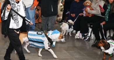 Gran convocatoria en el CIC Alberdi por la Semana del Animal: más de 200 desparasitaciones y 20 cirugías