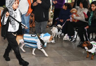 Gran convocatoria en el CIC Alberdi por la Semana del Animal: más de 200 desparasitaciones y 20 cirugías