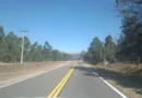 Jujuy lanzó una convocatoria para diseñar la obra de la Ruta Provincial 1 entre San Pedro y Caimancito