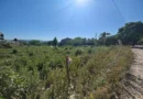 Jujuy subastará lotes en Alto Padilla mediante una modalidad electrónica