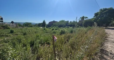 Jujuy subastará lotes en Alto Padilla mediante una modalidad electrónica