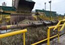Ledesma inició su zafra 118 con una proyección de más de 313 mil toneladas de azúcar