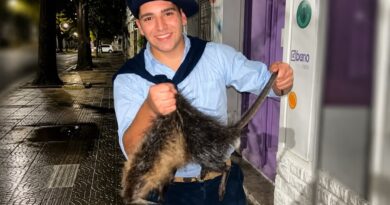 Indignación en Bahía Blanca: denuncian a dos jóvenes por matar a patadas a una nutria y filmar el ataque Indignación en Bahía Blanca: denuncian a dos jóvenes por matar a patadas a una nutria y filmar el ataque