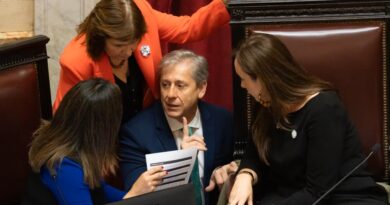 El Senado desafió a Milei y aprobó el pliego de Verónica Michelli pese al veto impulsado por el Gobierno