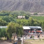El Tren del Vino debutará en Jujuy y sumará una nueva experiencia turística a bordo del Tren Solar tren solar en la ruta del vino