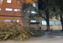 El viento Zonda provocó destrozos en Jujuy: caída de postes, voladura de techos e incendios en distintos puntos de la provincia