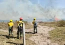 Sofocaron 14 incendios de vegetación que amenazaban zonas pobladas de Jujuy