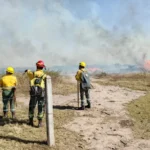 Sofocaron 14 incendios de vegetación que amenazaban zonas pobladas de Jujuy incendios forestales 2