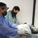 El quirófano móvil de Zoonosis llegará esta semana a los barrios 13 de Julio y Alto Comedero zoonosis