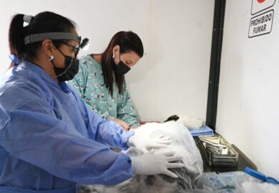 El quirófano móvil de Zoonosis llegará esta semana a los barrios 13 de Julio y Alto Comedero
