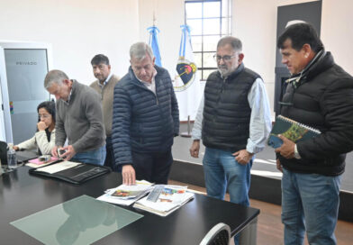 San Salvador de Jujuy incorporará una chipeadora para reutilizar residuos de poda