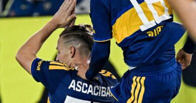 Boca volvió a sonreír: venció 1-0 a Estudiantes con un gol de Ascacíbar y consiguió un triunfo clave en el Clausura Boca volvió a sonreír: venció 1-0 a Estudiantes con un gol de Ascacíbar y consiguió un triunfo clave en el Clausura