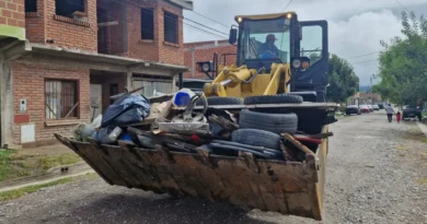“Sin mosquito no hay dengue”: el Gobierno de Jujuy refuerza la campaña de descacharrado como prevención clave