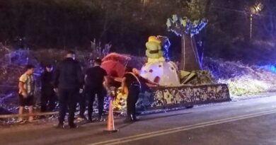 Murió un joven de 29 años mientras trasladaban una carroza del Bachi 16