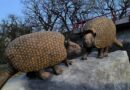 Antes de que existiera Jujuy, había gliptodontes: las nuevas esculturas que sorprenden en el Parque Xibi Xibi