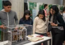 La historia de Ana Frank llega a Jujuy: dónde visitar la muestra gratuita que invita a reflexionar sobre la memoria
