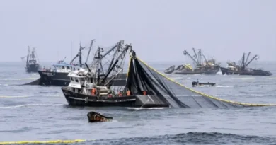 Malvinas: el Gobierno analiza ampliar las sanciones y podría incluir a la pesca