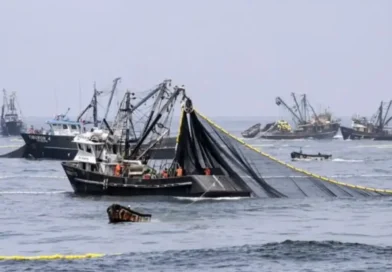 Malvinas: el Gobierno analiza ampliar las sanciones y podría incluir a la pesca