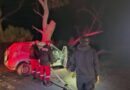 Un adolescente murió tras chocar con un árbol en Ruta Nacional 9 Un adolescente murió tras chocar con un árbol en Ruta Nacional 9