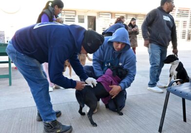 El quirófano móvil de Zoonosis recorrerá cuatro barrios de San Salvador de Jujuy El quirófano móvil de Zoonosis recorrerá cuatro barrios de San Salvador de Jujuy